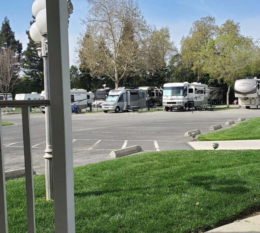 RV park with several parked recreational vehicles on pavement near green grass and trees under a clear sky.
